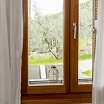 Aricobe Epidaurus