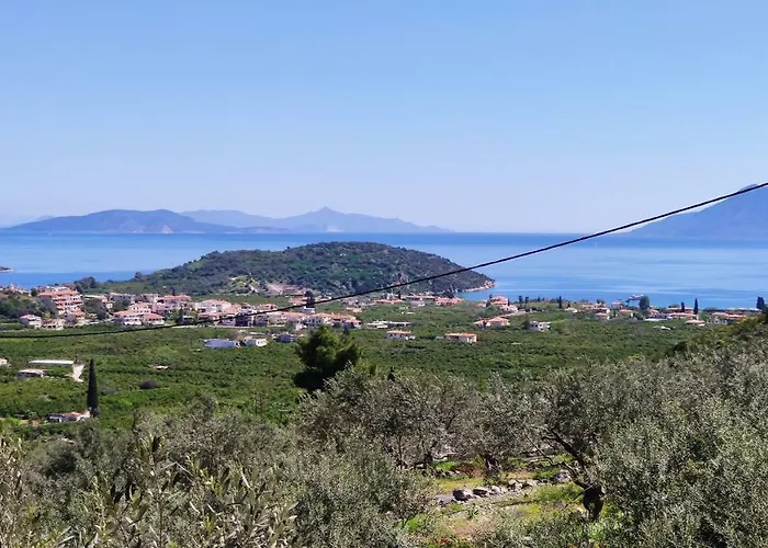 Aricobe Epidaurus